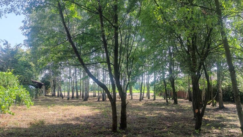 Działka Sprzedaż Borzęcin Duży Spacerowa